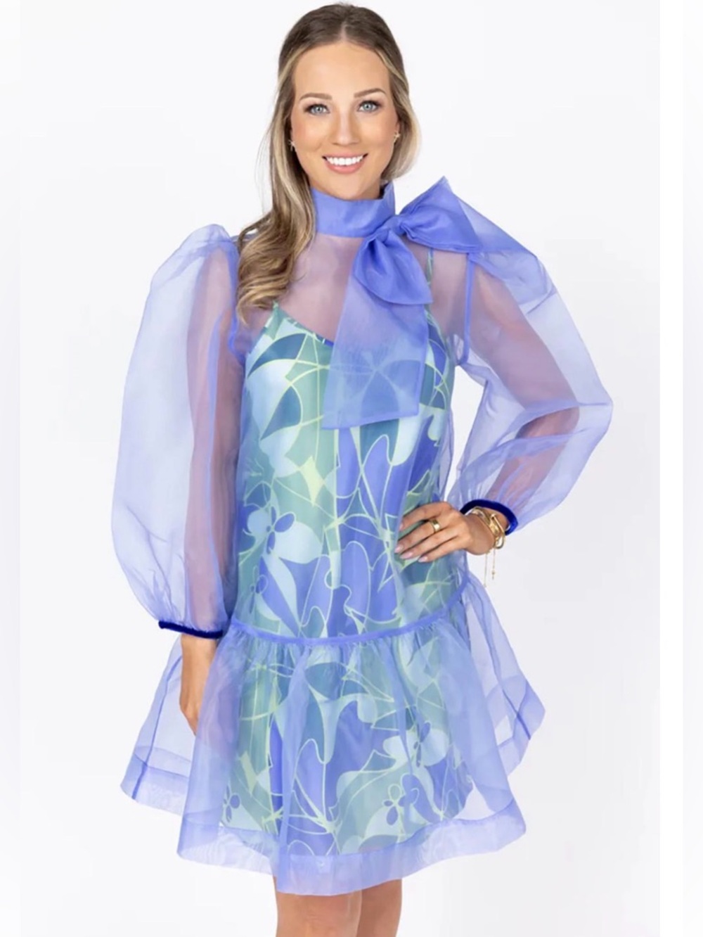 NWT Emily Mccarthy Bella Dress in Holly Organza